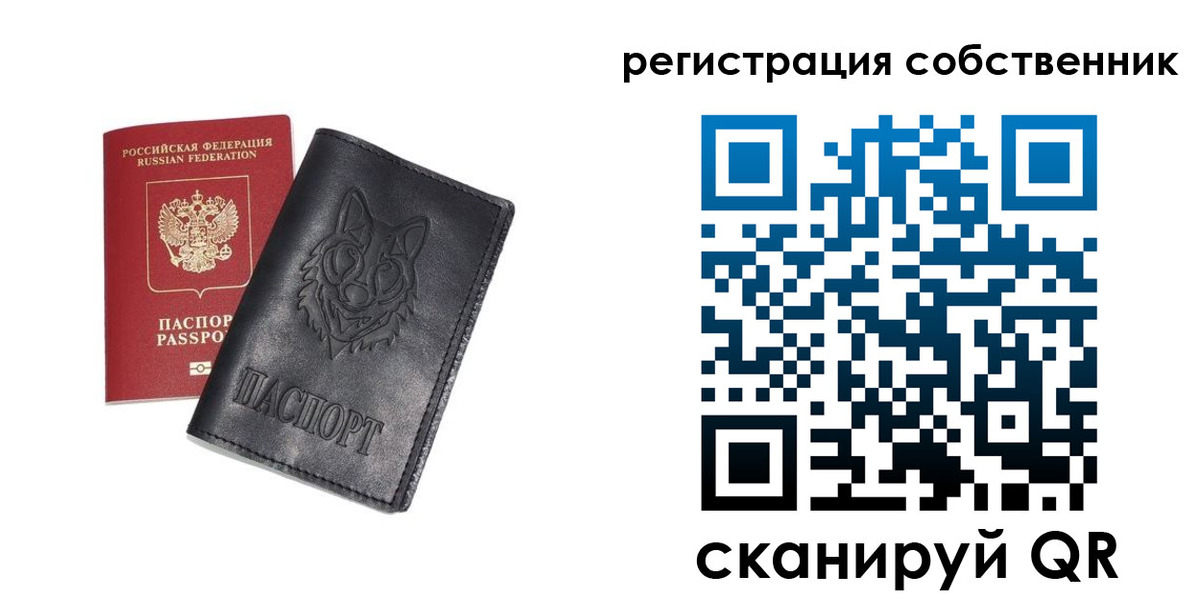 купить прописку в Палласовке