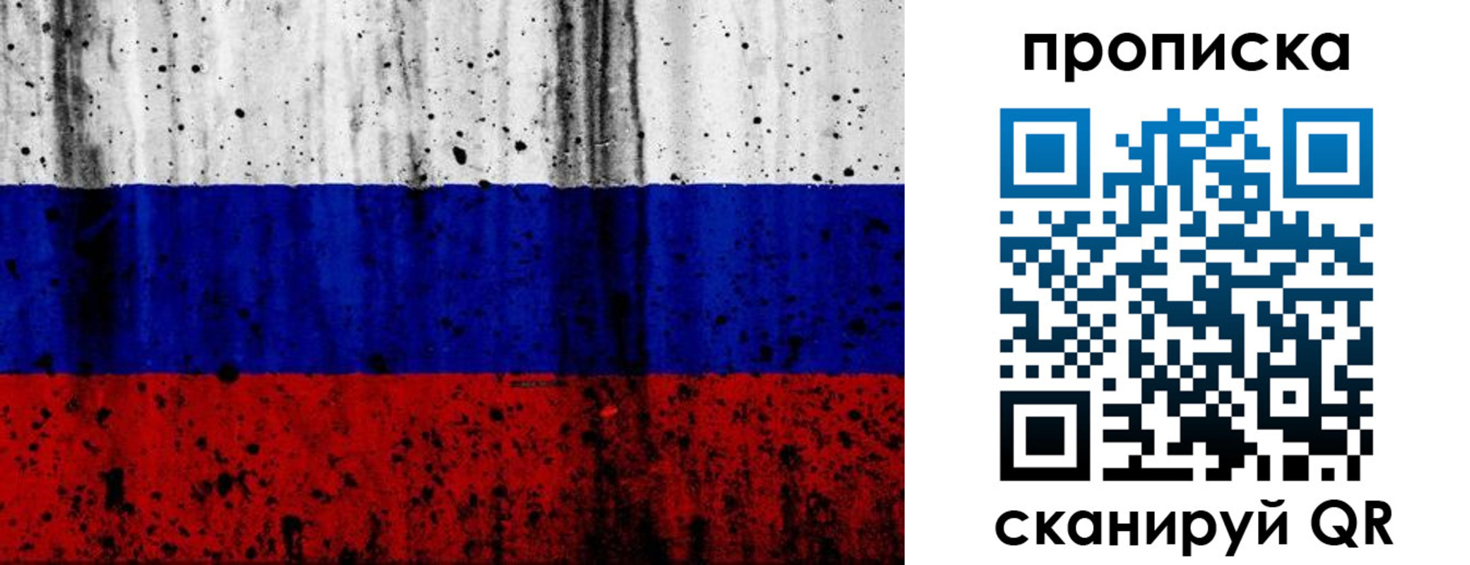 прописка поиск в Палласовке